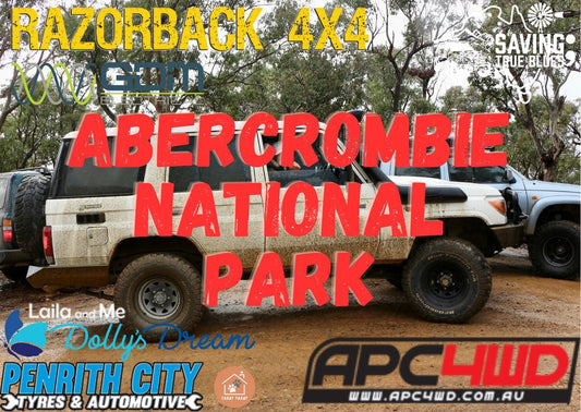 4WD & CAMP 4 MENTAL HEALTH #2 ABERCROMBIE NATIONAL PARK